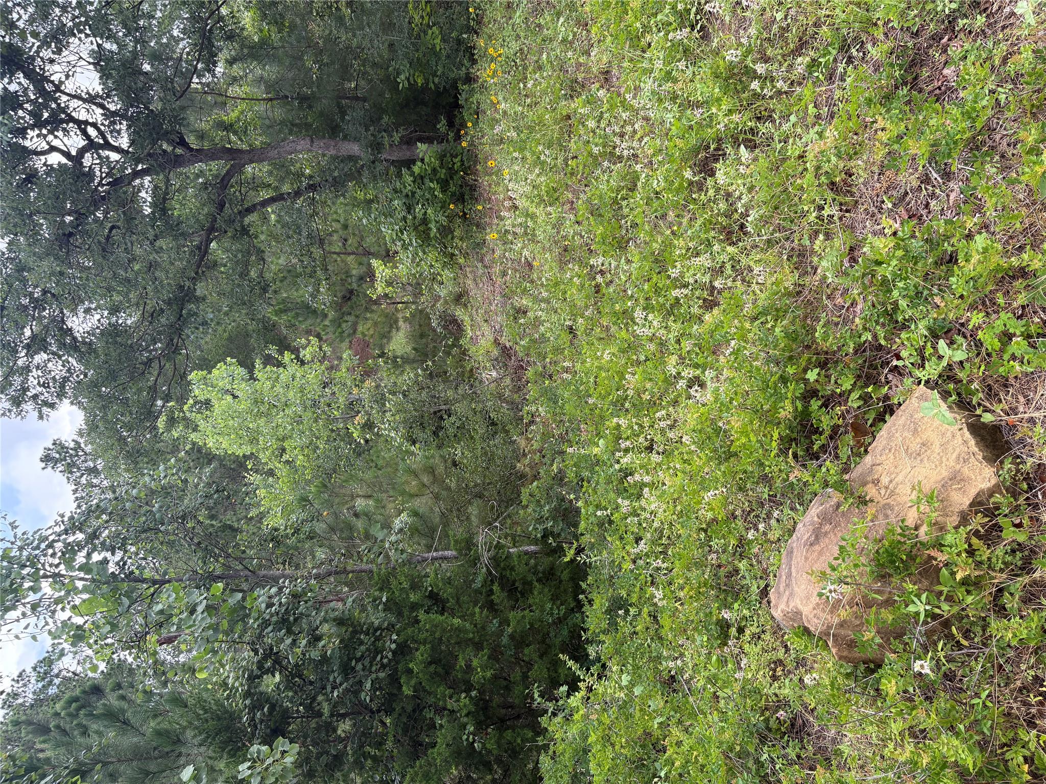 Land in Bastrop