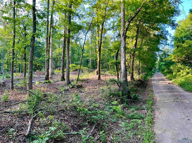 2735 Brandy Rd, Home with 0 bedrooms, 0 bathrooms and null parking in New Diana TX | Image 20