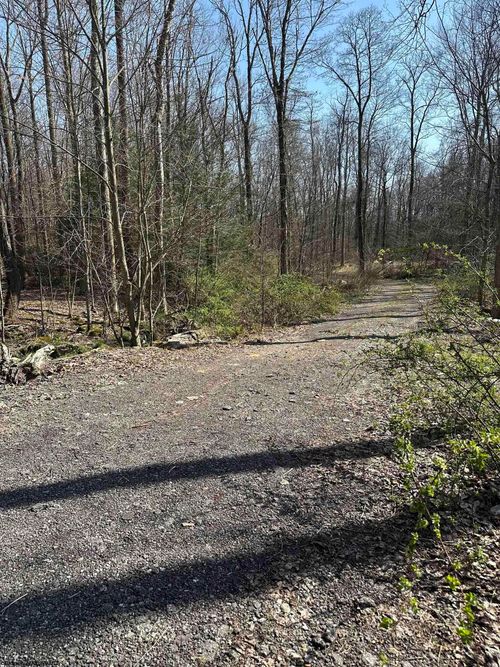 Lots 21&amp;22 Belgian Estates, Bruceton Mills, WV, 26525 | Card Image