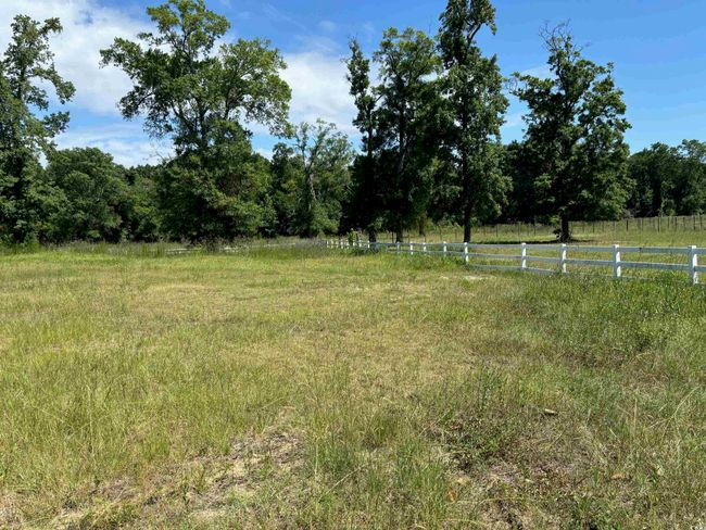 View of yard with a rural view | Image 5