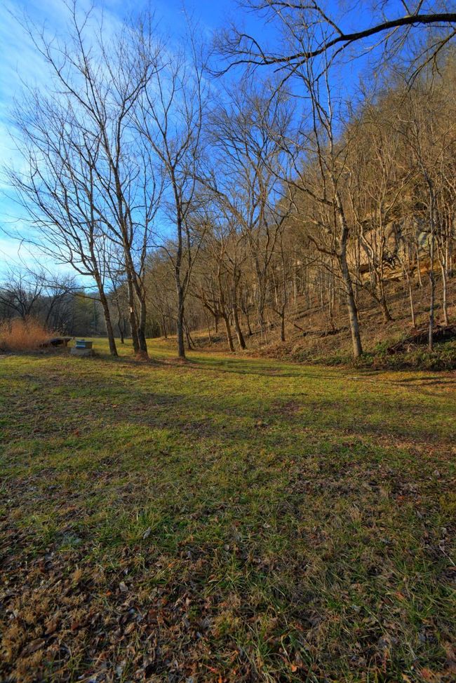 Well pump is located next to the grasses to the left of the trees. The well is approximately 125 ft deep. | Image 11
