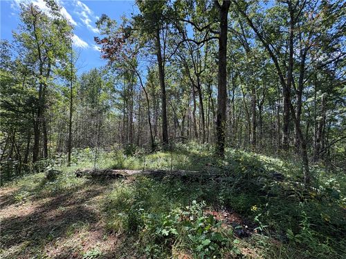 Tract Q The Bear Boulevard, Tamassee, SC, 29686 | Card Image