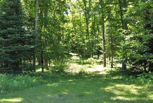 TBD County Road 424, Crystal Falls, MI, 49920 | Card Image