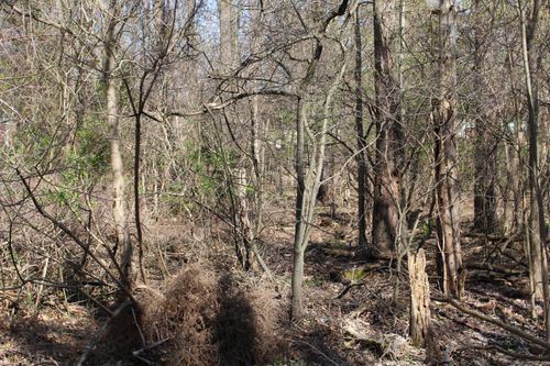 V/L Plover Drive, Highland Charter Township, MI, 48357 | Card Image