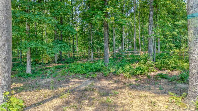 7596 Grasshopper Rd, House other with 3 bedrooms, 3 bathrooms and 6 parking in Georgetown TN | Image 45