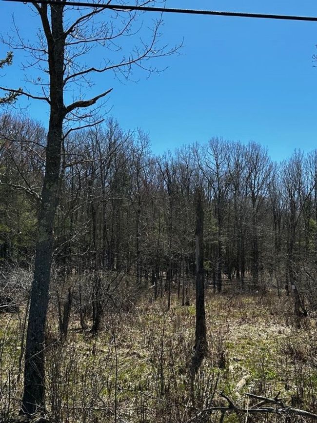 Lot 2 North Road, Home with 0 bedrooms, 0 bathrooms and null parking in Jefferson NY | Image 5