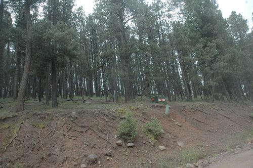 42 Vail Ave, Angel Fire, NM, 87710-8278 | Card Image
