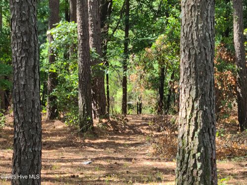 1 Myrtle Rd, Roseboro, NC, 28382-8415 | Card Image