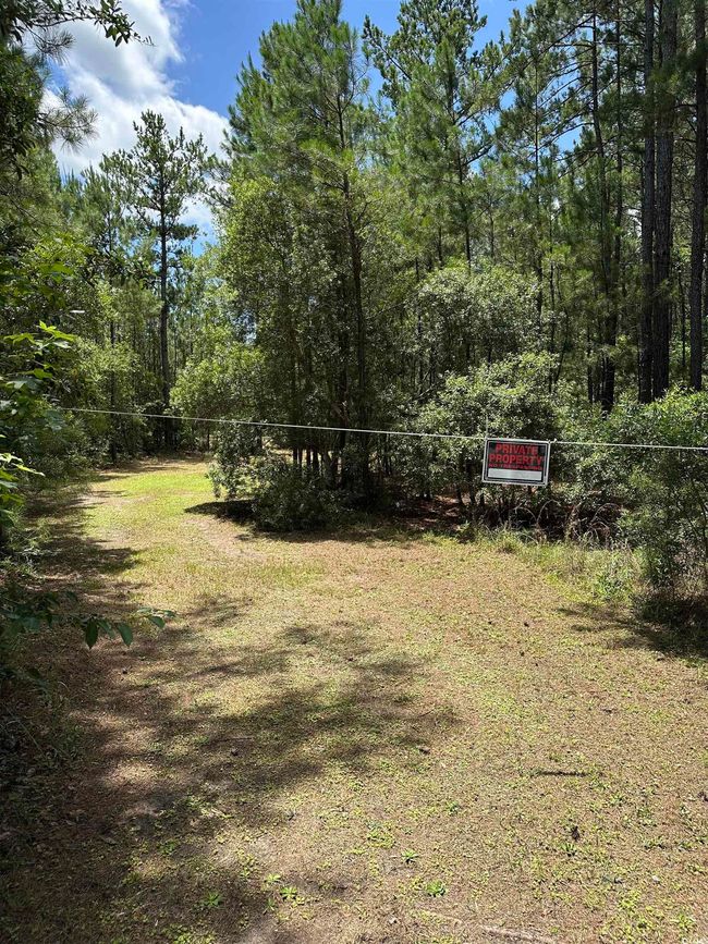218 Samworth Loop, Home with 0 bedrooms, 0 bathrooms and null parking in Georgetown SC | Image 8
