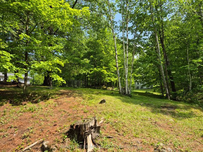 129 Loon Cove Trail, Home with 0 bedrooms, 0 bathrooms and null parking in Douglas ON | Image 8