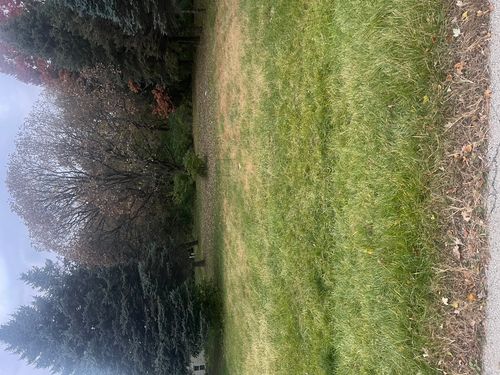 160 Columbia St, Poplar Grove, IL, 61065-8705 | Card Image