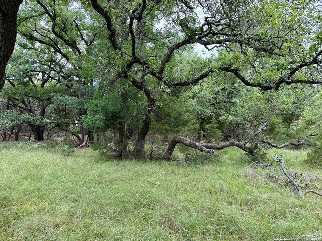 1187 Long Meadow, Home with 0 bedrooms, 0 bathrooms and null parking in Spring Branch TX | Image 14