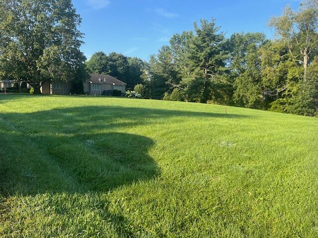 Land in Frankfort 3