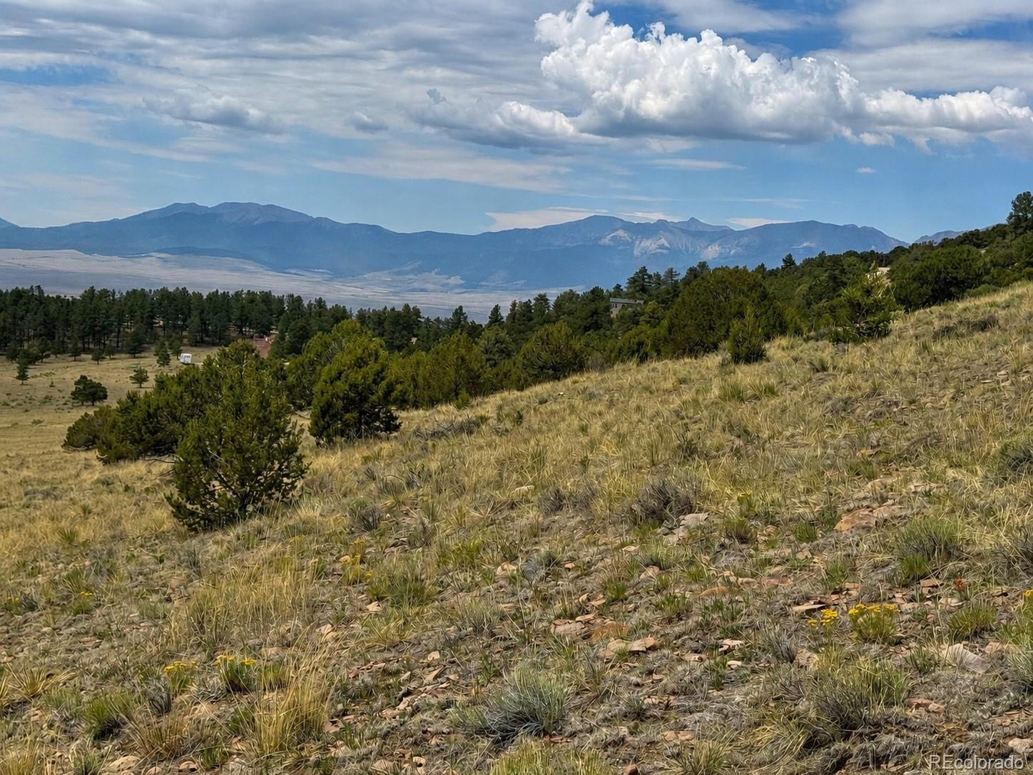 Land in Westcliffe 3
