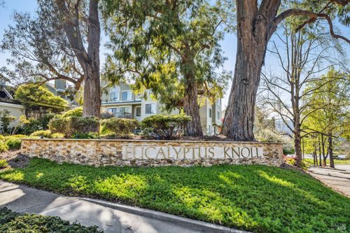 123 Eucalyptus Knoll St, Mill Valley, CA, 94941-2292 | Card Image