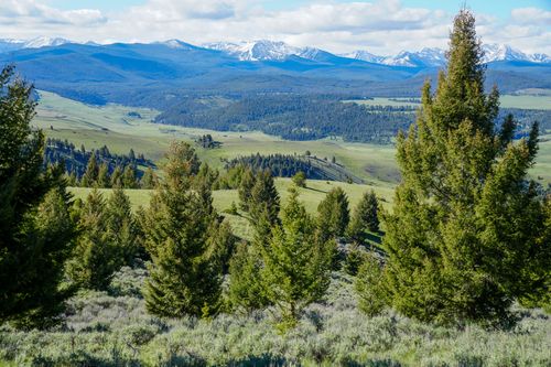 Running J Ranch, Philipsburg, MT, 59858 | Card Image