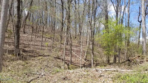 Lot 286 Maple Dr, Spring City, TN, 37381 | Card Image