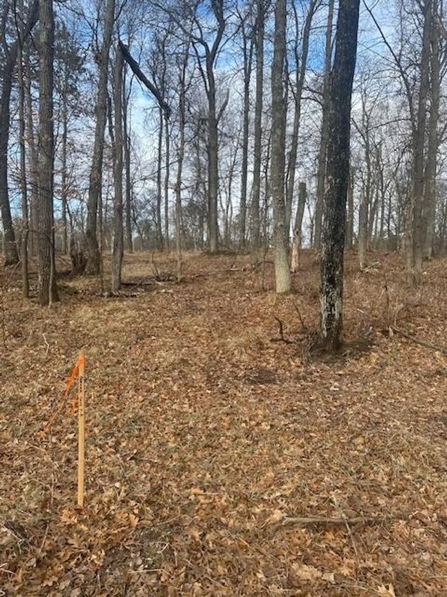 2 Shady Lane, Home with 0 bedrooms, 0 bathrooms and null parking in Crosslake MN | Image 9