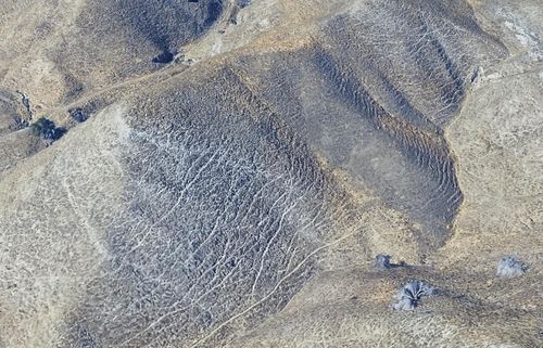 9 Warthen Canyon Rd, Coalinga, CA, 93210 | Card Image