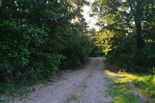 TBD Schnauzer Ln, Harriet, AR, 72639 | Card Image