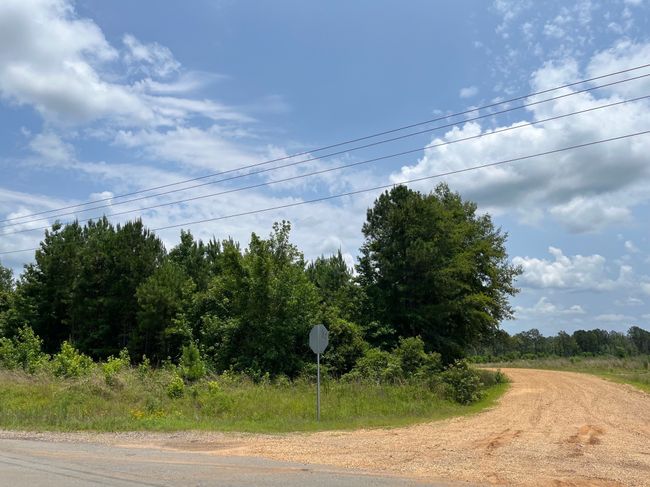 View of road | Image 4