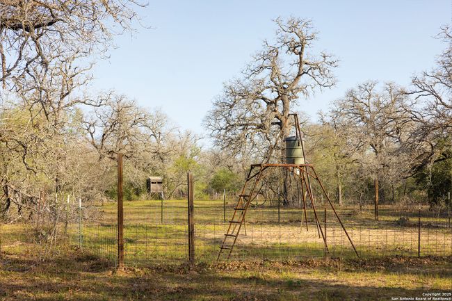 343 Batey Rd, Home with 3 bedrooms, 2 bathrooms and null parking in Nixon TX | Image 32