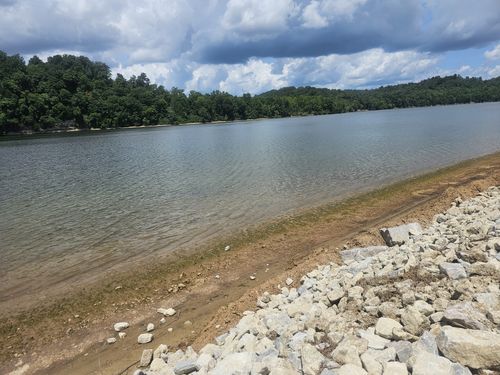 2271 Hardin Bottom River Rd, Clifton, TN, 38425-1520 | Card Image