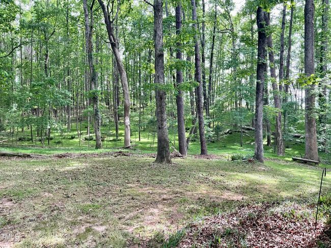 Back Yard | Image 15