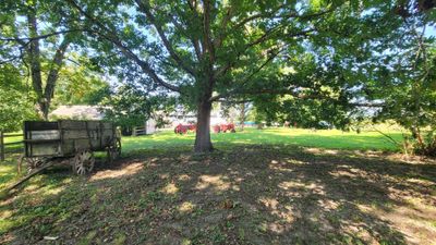 Mature trees provide privacy, shade and a plentifu | Image 3