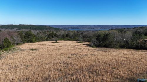 25 ACRES Lemaster Road, Grant, AL, 35747 | Card Image