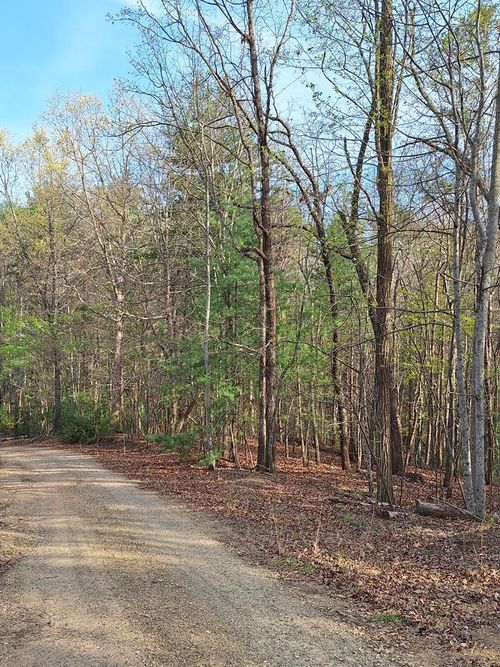 Lot 22 Mull Lane Cir, Morganton, GA, 30560-1667 | Card Image