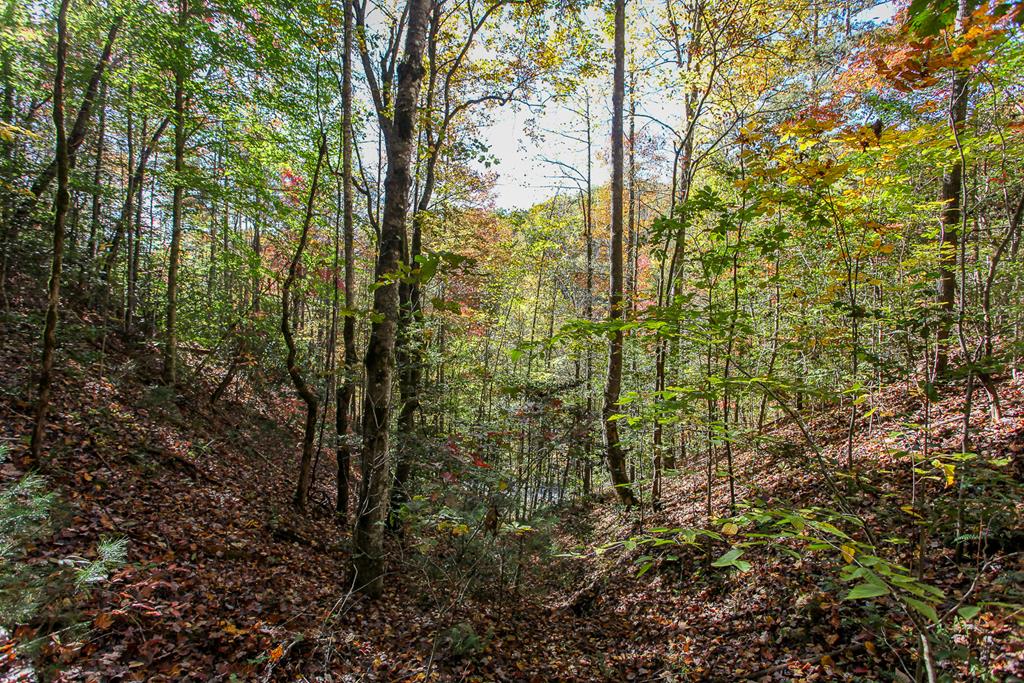 Land in Bryson City
