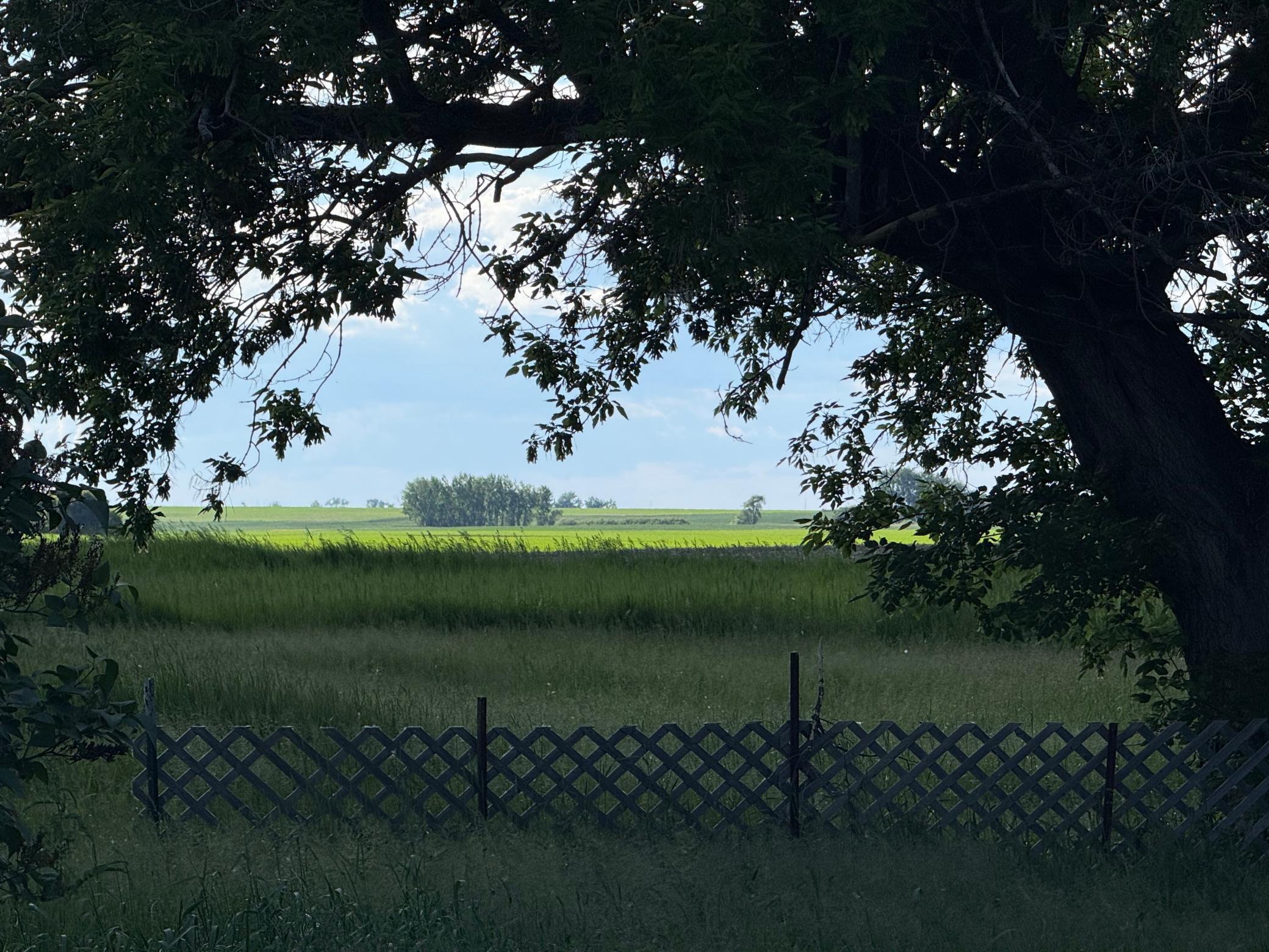 Land in Webster 3