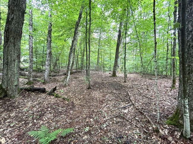 269 Old Muskoka Rd S, House other with 4 bedrooms, 2 bathrooms and 8 parking in Machar ON | Image 46