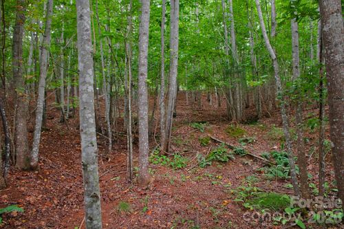 110-0 Creekside Cir, Rutherfordton, NC, 28139 | Card Image
