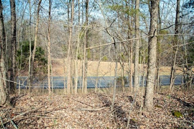 13300 Scottsville Rd, Home with 0 bedrooms, 0 bathrooms and null parking in Lucas KY | Image 20
