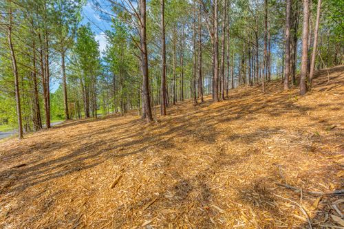 19 Turkey, Flintstone, GA, 30725 | Card Image