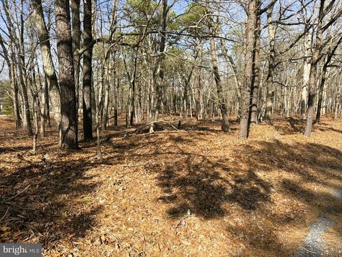 3 Pinewood Dr, LITTLE EGG HARBOR TWP, NJ, 08087-2934 | Card Image