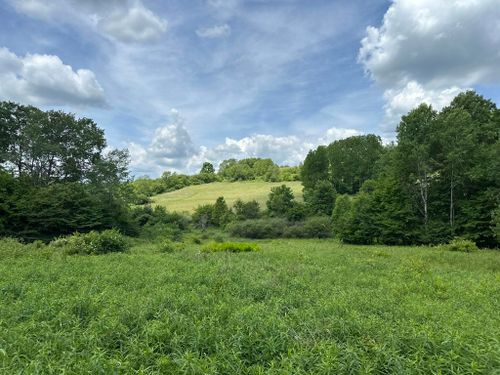  Church Holow Rd, Shinglehouse, PA, 16748 | Card Image