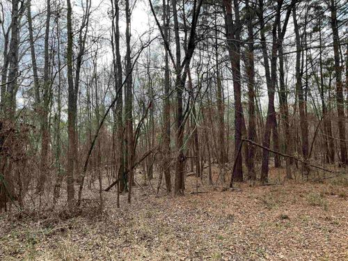 TBD Mollie Springs Rd, White Oak, TX, 75693 | Card Image