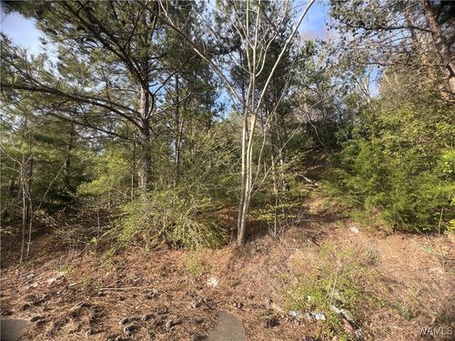 0 Lexie Ln, Brookwood, AL, 35444 | Card Image