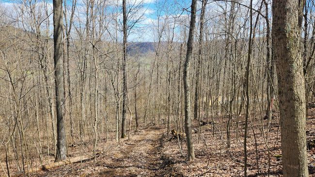 TRACT-1-PIKE-LAKE-GETAWA - 0 Pike Lake Rd, Home with 0 bedrooms, 0 bathrooms and null parking in Bainbridge OH | Image 28
