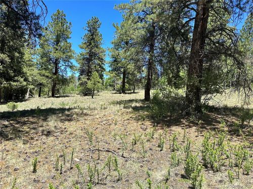 545 Church Creek Dr, South Fork, CO, 81154 | Card Image
