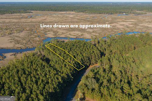 LOT 116 La Mare Ln, WAVERLY, GA, 31565-2799 | Card Image