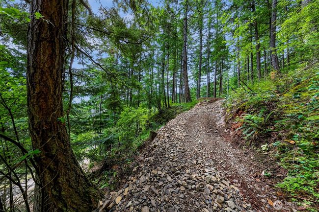 3071 Hales Passage Dr, Home with 0 bedrooms, 0 bathrooms and null parking in Lummi Island WA | Image 6