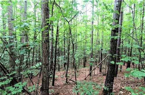 13-0 Chasewood Dr, Rutherfordton, NC, 28139 | Card Image