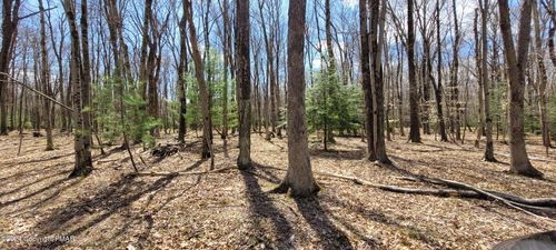 A10.10 State Route 534, Albrightsville, PA, 18210 | Card Image