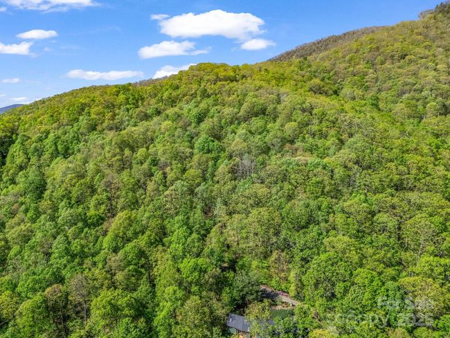 8 White Birch Ct, Home with 0 bedrooms, 0 bathrooms and null parking in Black Mountain NC | Image 9