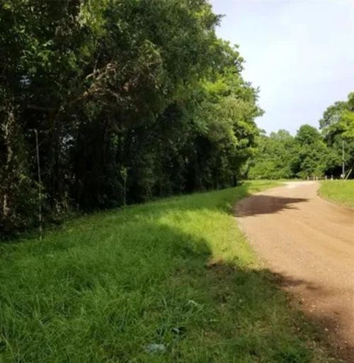 TBA Winding Creek Rd, Shepherd, TX, 77371 | Card Image