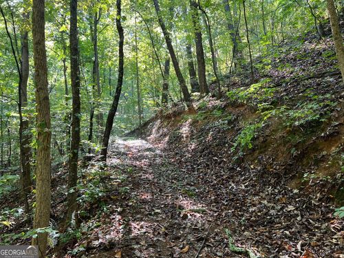 893 Newman Ct, Ranger, GA, 30734 | Card Image